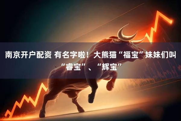 南京开户配资 有名字啦！大熊猫“福宝”妹妹们叫“睿宝”、“辉宝”